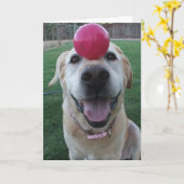 Grußkarte Karte (Gelbe Blume)