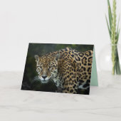 Grußkarte Karte (Vorderseite)