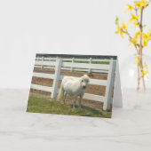 Grußkarte Karte (Gelbe Blume)