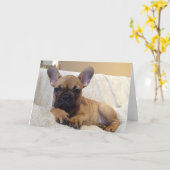 Grußkarte Karte (Gelbe Blume)