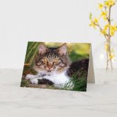 Grußkarte Karte (Gelbe Blume)