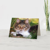 Grußkarte Karte (Vorderseite)