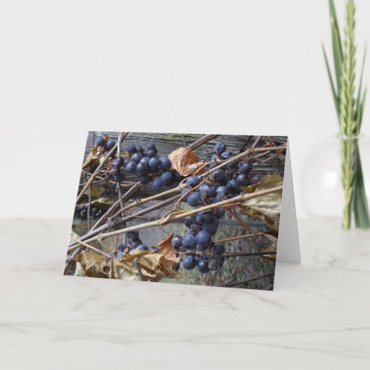 Grußkarte Karte (Vorderseite)