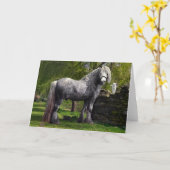 Grußkarte "Kaspisch und seine Katzen" Karte (Gelbe Blume)