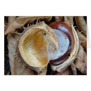 Grusskarte Kastanie in Schale, blanko