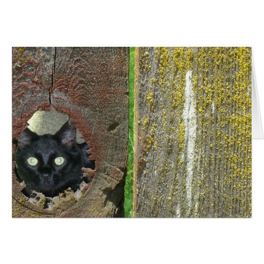 Grußkarte - Katzensprung durch den Zaun (Vorderseite (Horizontal))