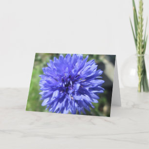 Grußkarte - Kornblumenblaue Junggesellenknöpfe Karte