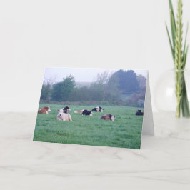 Grußkarte - Kühe in Farbe Karte