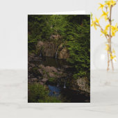 Grußkarte "landschaftliche Natur" Karte (Gelbe Blume)