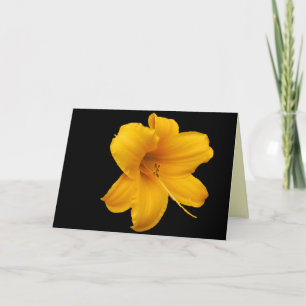 Grußkarte Lilies und Daffodils Karte