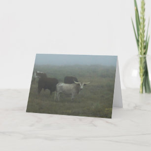 Grußkarte "Longhorns im Nebel" (innen leer) Karte