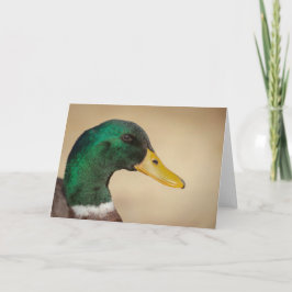 Grußkarte Mallard Drake Karte