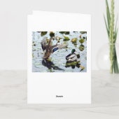 Grußkarte Mallard Duck (Woods) Karte (Rückseite)