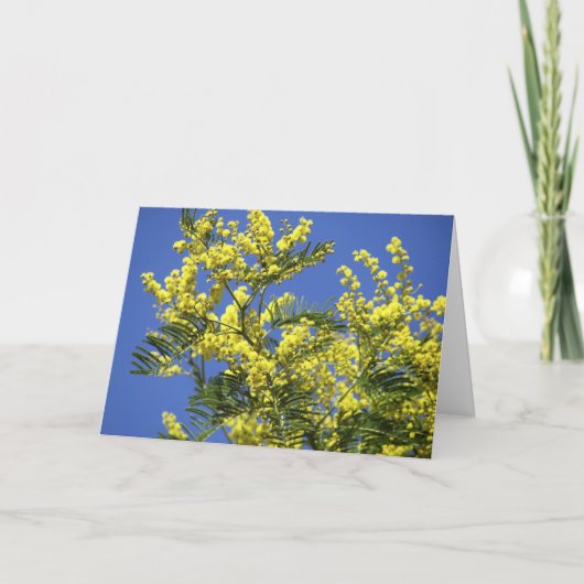 Grußkarte: Mimosen-Blumen Karte (Vorderseite)