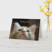 Grußkarte mit Adorable Orange Tabby Kitten Karte (Gelbe Blume)