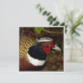 Grußkarte mit Bild eines Fasanenkopfes Karte (Stehend Vorderseite)