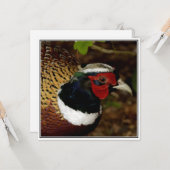 Grußkarte mit Bild eines Fasanenkopfes Karte (Vorderseite/Rückseite Beispiel)