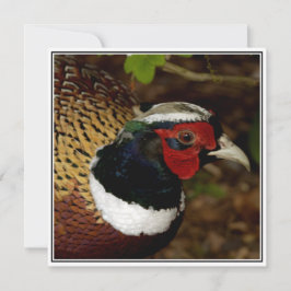 Grußkarte mit Bild eines Fasanenkopfes Karte