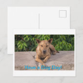 Grußkarte mit Dog Theme Postkarte (Vorne/Hinten)