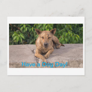 Grußkarte mit Dog Theme Postkarte
