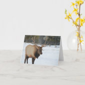 Grußkarte mit Elch Karte (Gelbe Blume)