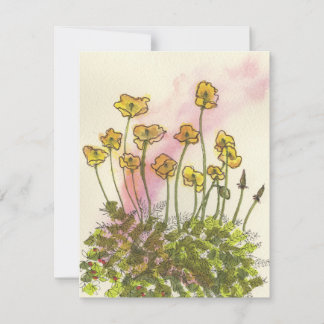 Grußkarte mit gelben wilden Mohnblumen