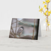 Grußkarte mit Meise Karte (Gelbe Blume)