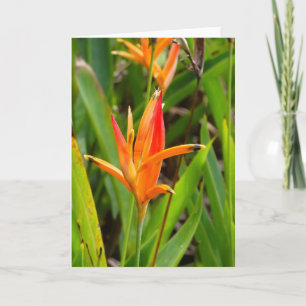 Grußkarte mit orangen Blumen auf dem Umschlag Karte