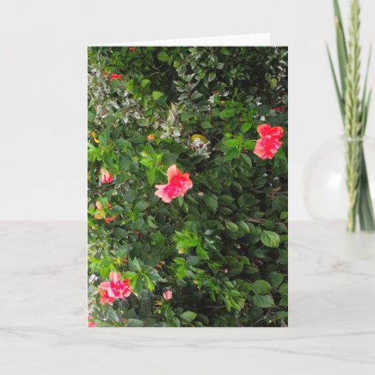 Grußkarte mit rosa Blumen Karte (Vorderseite)