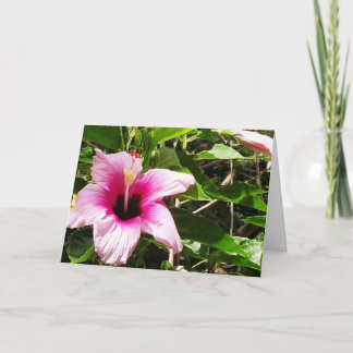 Grußkarte mit rosa floralem Umschlag Karte