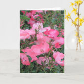Grußkarte mit rosa Rosen Karte (Gelbe Blume)
