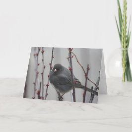 Grußkarte mit Vogel in einem Baum Karte