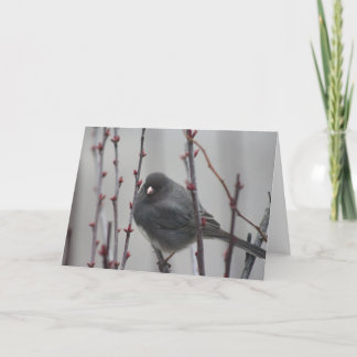 Grußkarte mit Vogel in einem Baum Karte