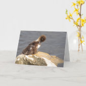 Grußkarte Muscovy Duck Karte (Gelbe Blume)