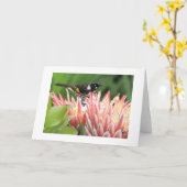 Grußkarte - New Holland Honeyeater on Protea Karte (Gelbe Blume)