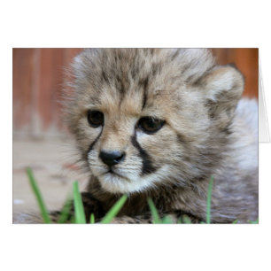 Grußkarte - Niedliche Kinderecke