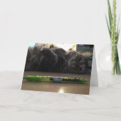 Grußkarte Nr. 2 Karte (Vorderseite)