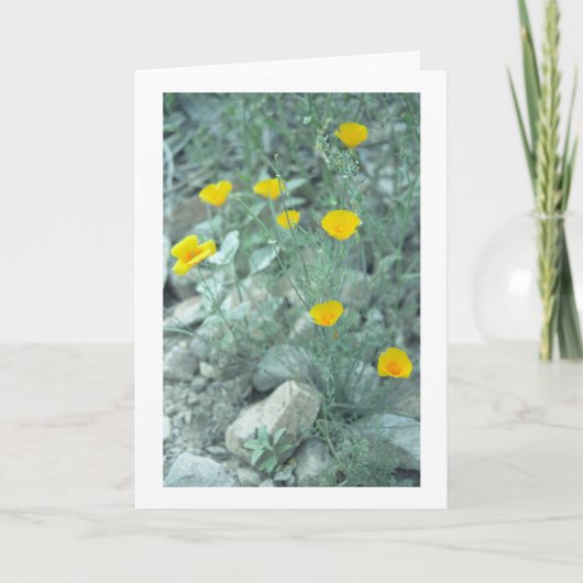 Grußkarte oder Karte für Wüstenfrühlingsblumen (Vorderseite)