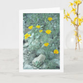 Grußkarte oder Karte für Wüstenfrühlingsblumen (Gelbe Blume)