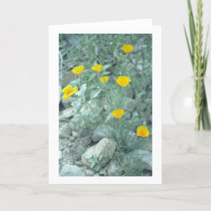 Grußkarte oder Karte für Wüstenfrühlingsblumen