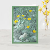 Grußkarte oder Karte für Wüstenfrühlingsblumen (Gelbe Blume)