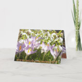 Grußkarte Osterkrokus Feiertagskarte (Rückseite)