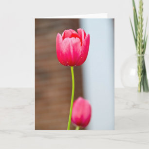 Grußkarte Pink Tulips Karte