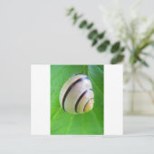 Grußkarte Postkarte (Stehend Vorderseite)