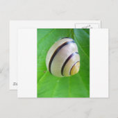 Grußkarte Postkarte (Vorne/Hinten)