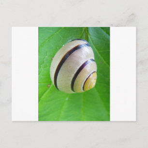 Grußkarte Postkarte