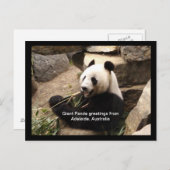 Grußkarte Postkarte (Vorne/Hinten)