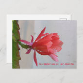 Grußkarte Postkarte (Vorne/Hinten)