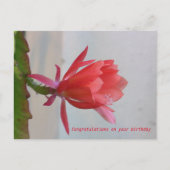 Grußkarte Postkarte (Vorderseite)