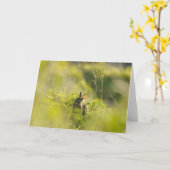 Grußkarte - Rabbit 3 Karte (Gelbe Blume)